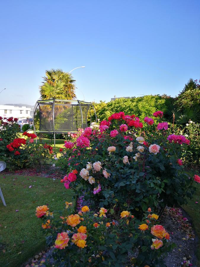 Phoenix Thermal Resort - Lago Taupo Exterior foto