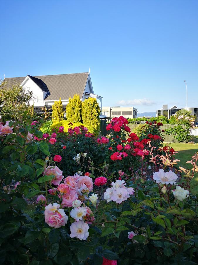 Phoenix Thermal Resort - Lago Taupo Exterior foto